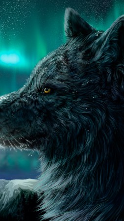 Волк, полярное сияние, взгляд (vertical)