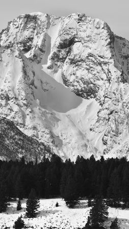 Гора Моран, 5k, 4k, США, Горы, сосны, снег (vertical)