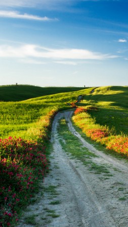 Тоскана, 4k, HD, Италия, Луга, дорога, полевые цветы, небо (vertical)