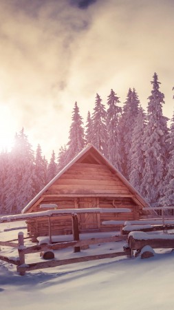 Сосны, 4k, HD, снег, закат, дом (vertical)