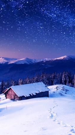 Горы, 5k, 4k, 8k, ночь, звезды, деревья, небо, снег (vertical)