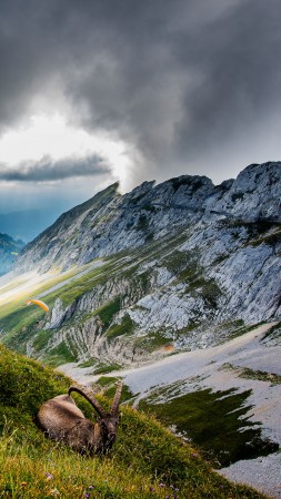 Гора Пилатус, 5k, 4k, Швейцария, Горы, луга, козел, облака (vertical)