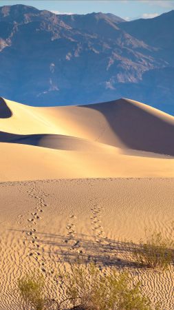 Долина Смерти, 5k, 4k, США, пустыня, песок, горы (vertical)
