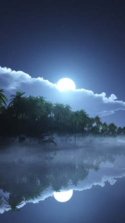 Речные, 4k, HD, морские, пальмы, ночь, луна, облака (vertical)