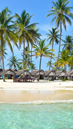 Мальдивские острова, 4k, 5k, Индийский океан, лучшие пляжи в мире, пальмы, берег, небо (vertical)