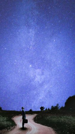 Звезды, 5k, 4k, ночь, деревья, фотошоп (vertical)