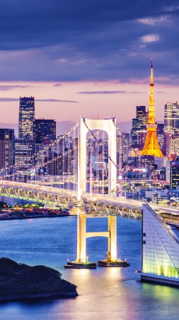 Токийский залив, Япония, мост, ночь, путешествия, туризм (vertical)