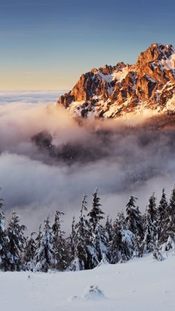 Словакия, 4k, 5k, горы, туман, сосны, снег (vertical)