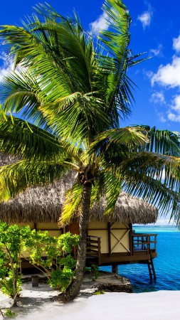 Мальдивские острова, 4k, HD, отпуск, отдых, путешествие, бронирование, остров, океан, бунгало, пляж, небо (vertical)