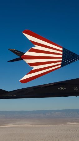Ф-117, Локхид, ВВС США, истребитель, Армия США,  (vertical)