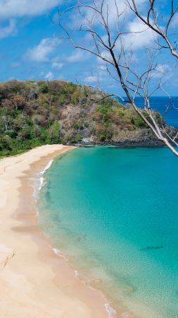 Байя Ду-Саншу, Фернанду-ди-Норонья, Бразилия, лучшие пляжи 2016, Travellers Choice Awards 2016 (vertical)
