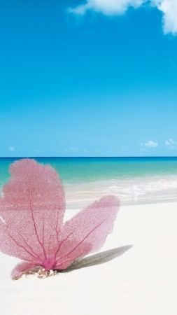 Плайя Параисо, Кайо-Ларго, Куба, лучшие пляжи 2016, Travellers Choice Awards 2016 (vertical)