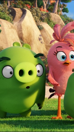 Angry Birds, Зеленые свиньи, семья, мультфильм 2016 (vertical)