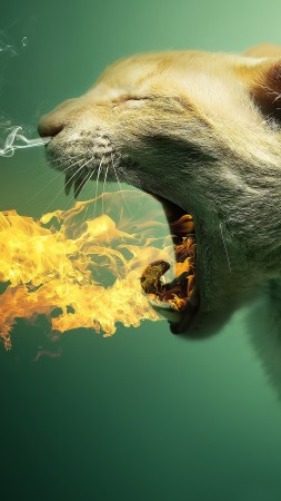 кошка, огонь, пылающий, кот, котенок, газа, мило, милый, серый (vertical)