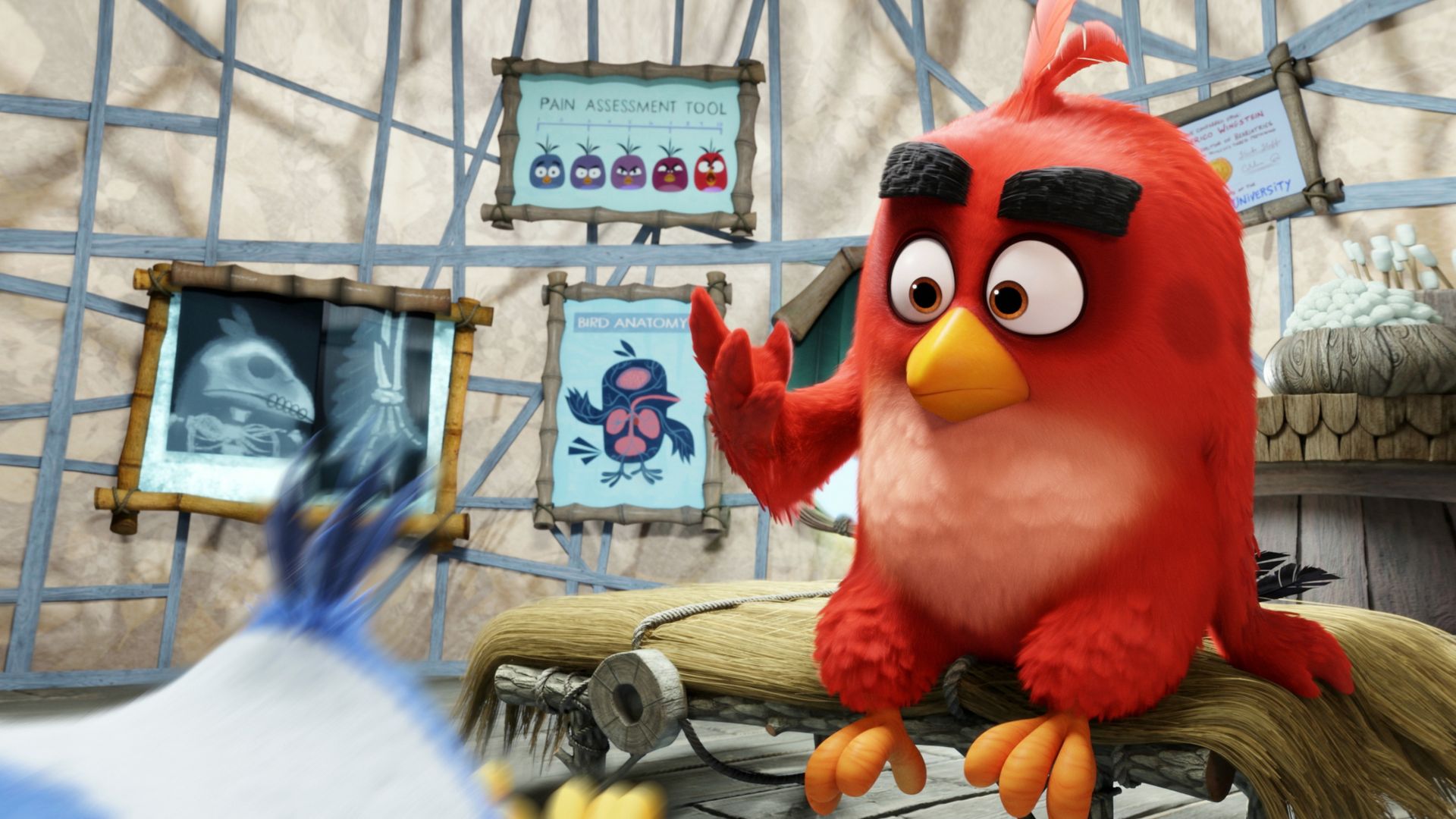 Angry Birds Movie, Красный, Лучшие мультфильмы 2016, Angry Birds Movie, red, Best Animation Movies of 2016 (horizontal)