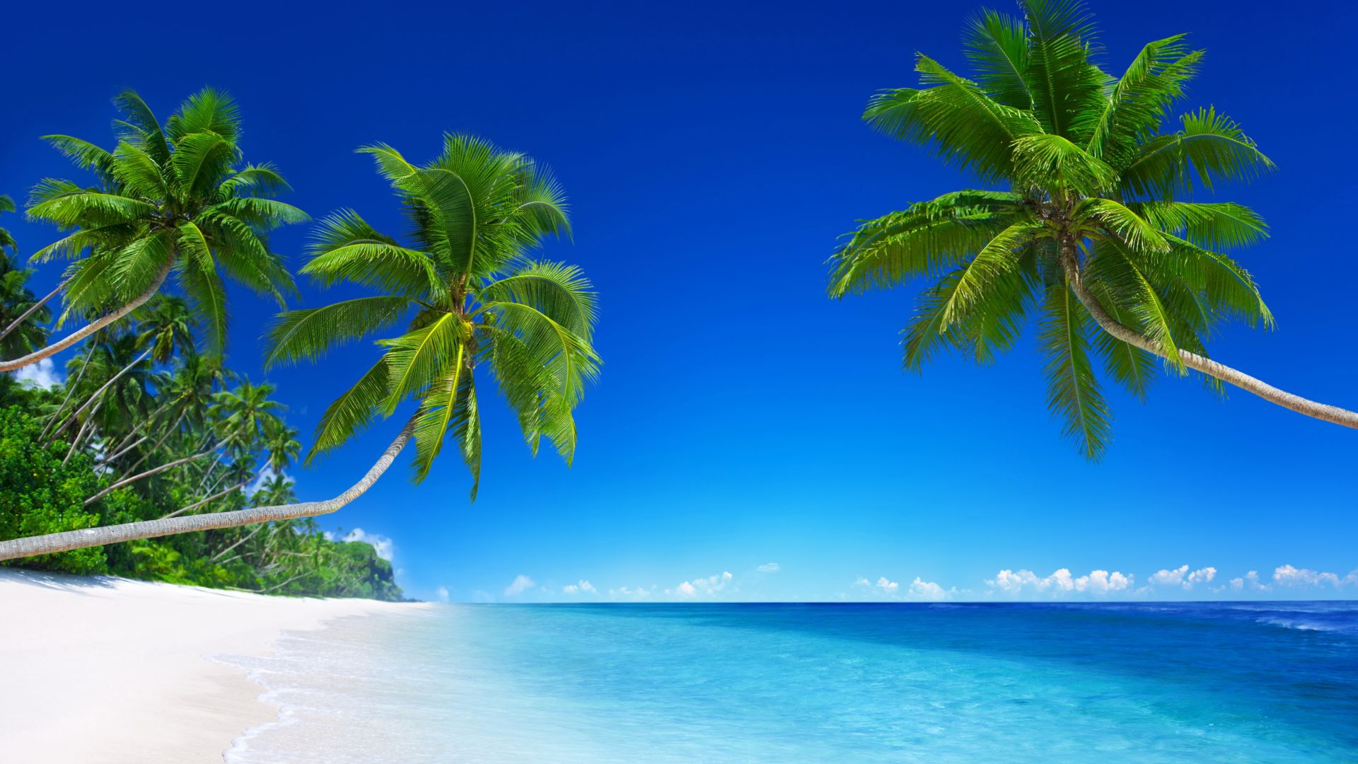 тропический пляж, 5k, 4k, 8k, парадайс, море, пальмы, tropical beach, 5k, 4k wallpaper, 8k, paradise, palms, sea, blue (horizontal)
