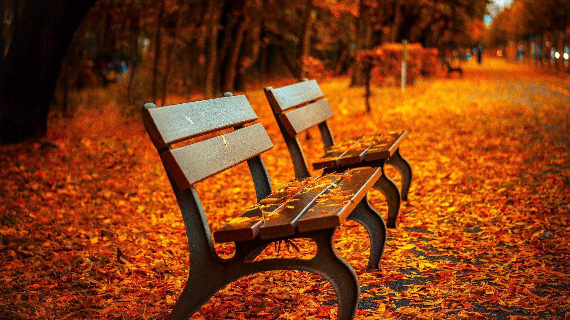 Осенний парк, 5k, 4k, листья, лавочка, деревья, autumn park, 5k, 4k wallpaper, trees, leaves, bench (horizontal)