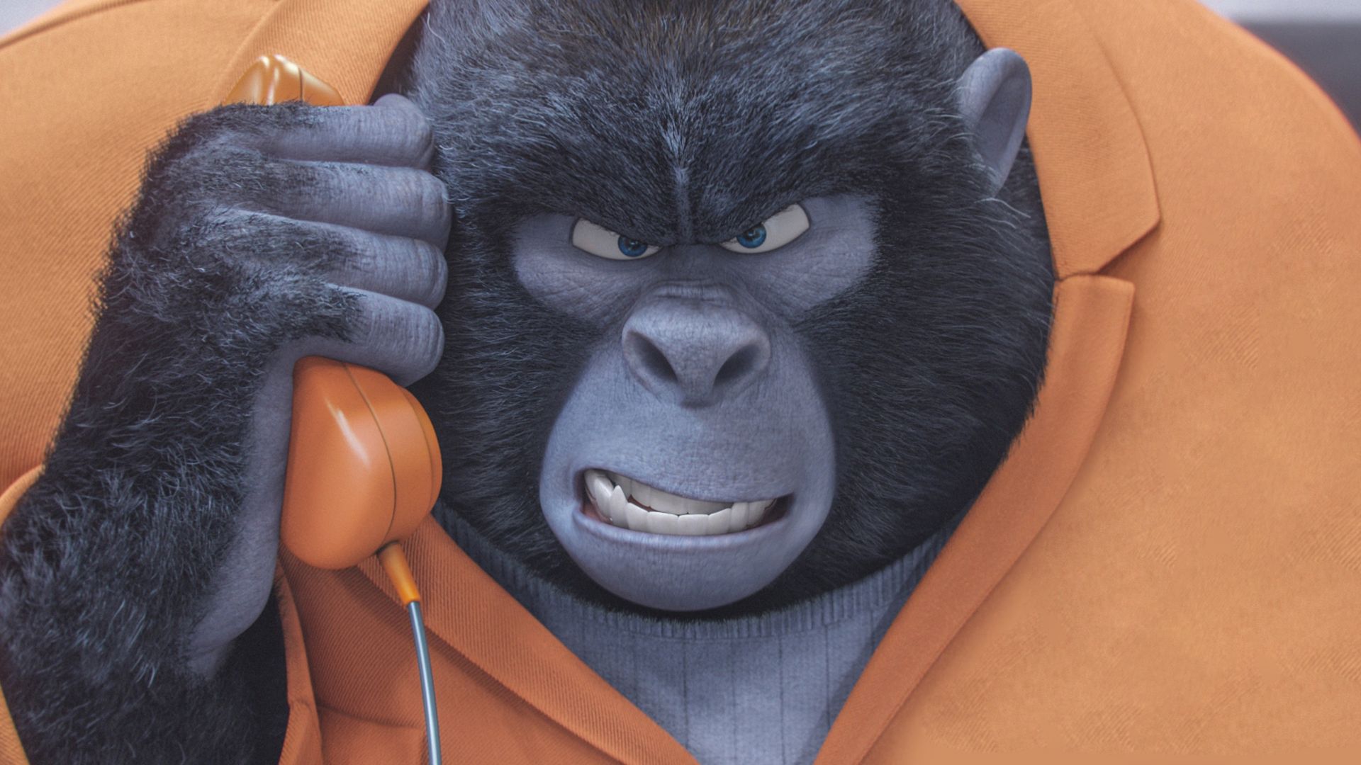 Путь к Славе, горилла, лучшие мультфильмы 2016, Sing, gorilla, best animation movies of 2016 (horizontal)
