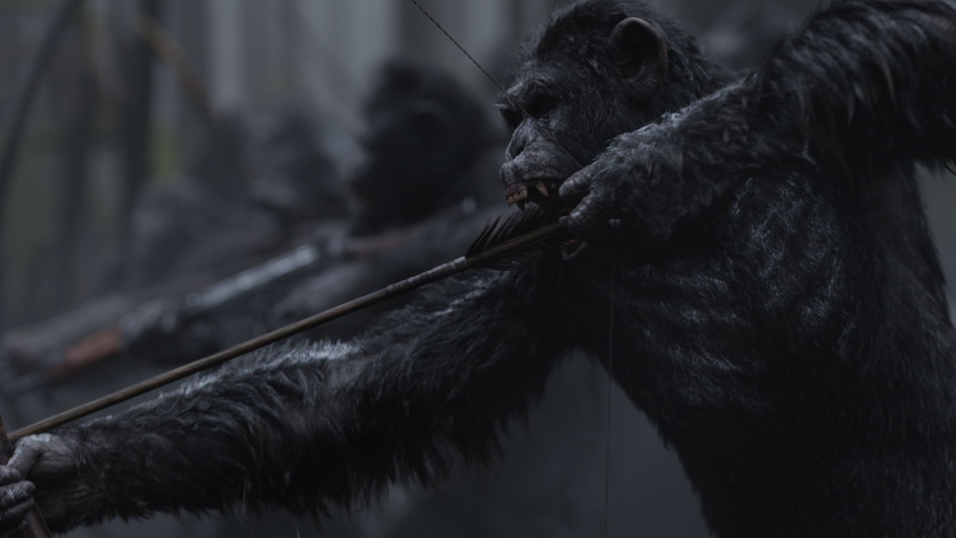 Война планеты обезьян, обезьяна, лучшие фильмы, War for the Planet of the Apes, ape, 4k (horizontal)