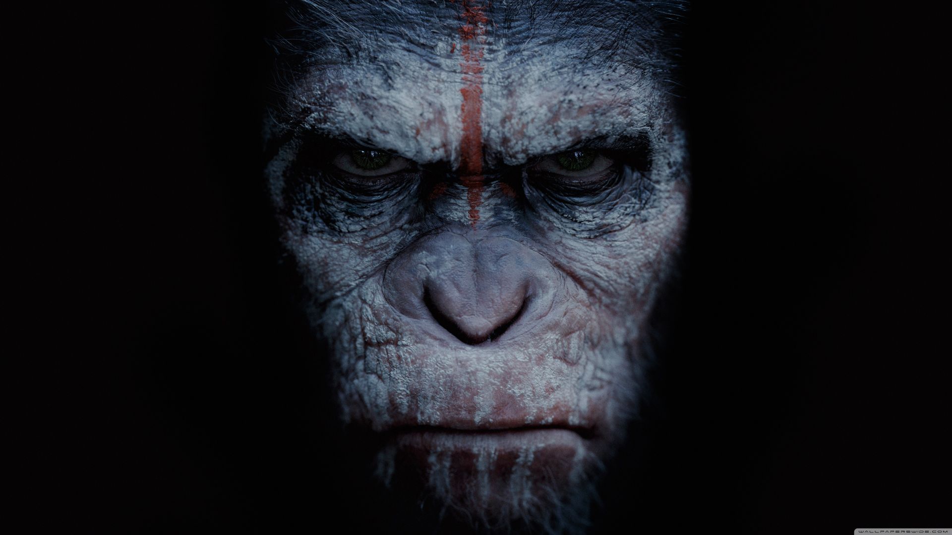 Планета обезьян: война, War for the Planet of the Apes, 4k (horizontal)