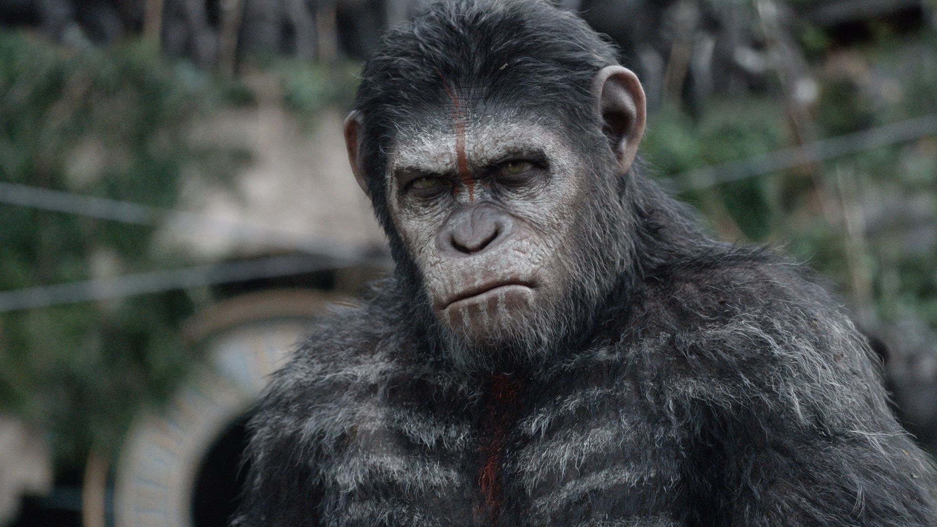 Планета обезьян: война, War for the Planet of the Apes, 4k, 5k (horizontal)