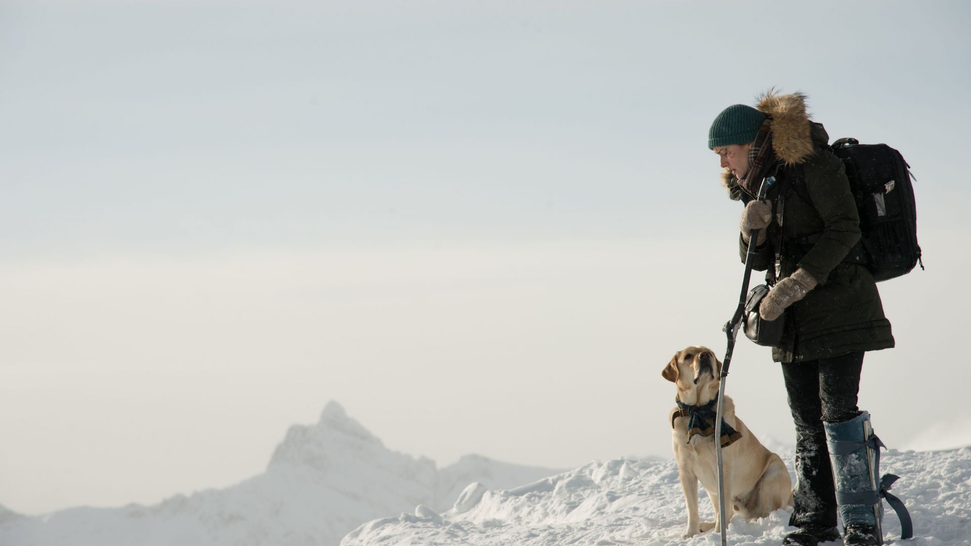 Золотое кольцо, The Mountain Between Us, Kate Winslet, 5k (horizontal)