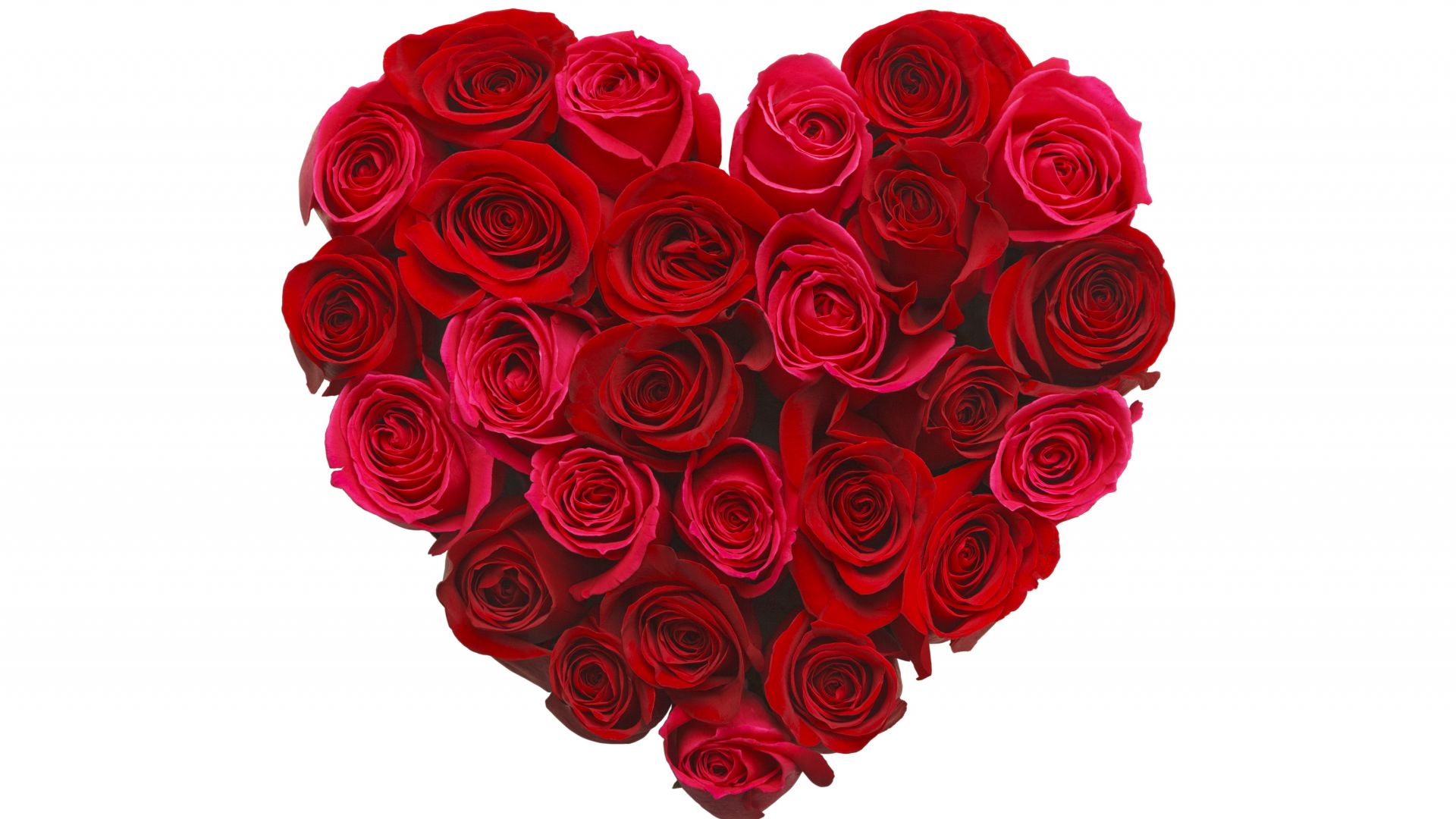 фото любовь, сердце, цвеьы, love image, heart, 5k, rose, flowers (horizontal)