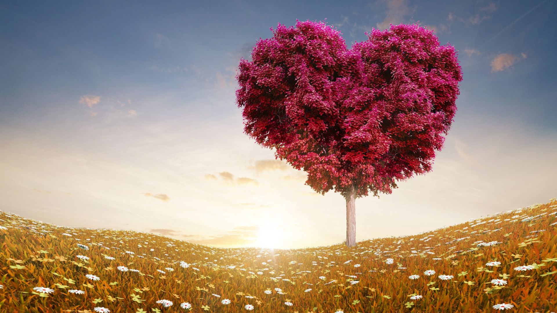 фото любовь, сердце, love image, heart, 4k, tree (horizontal)