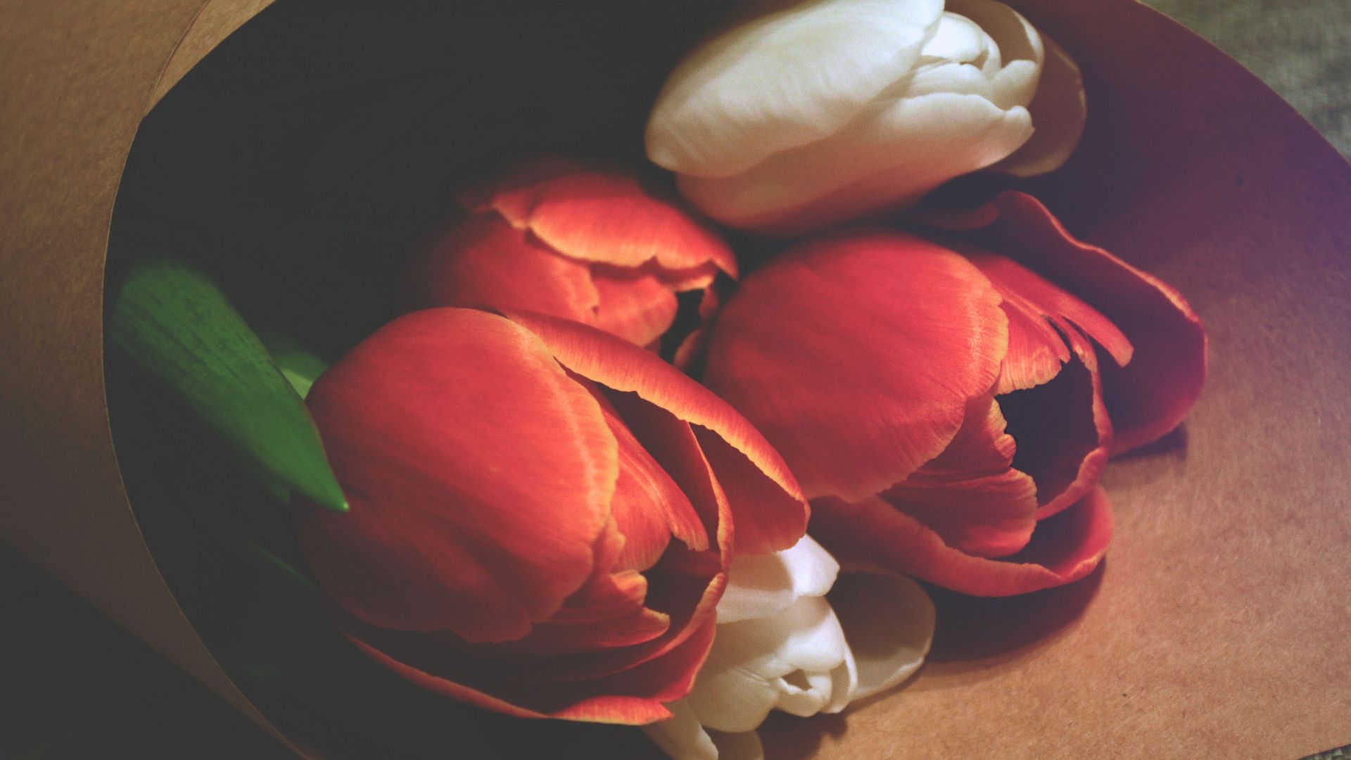 фото любовь, цветы, love image, tulips, 4k (horizontal)