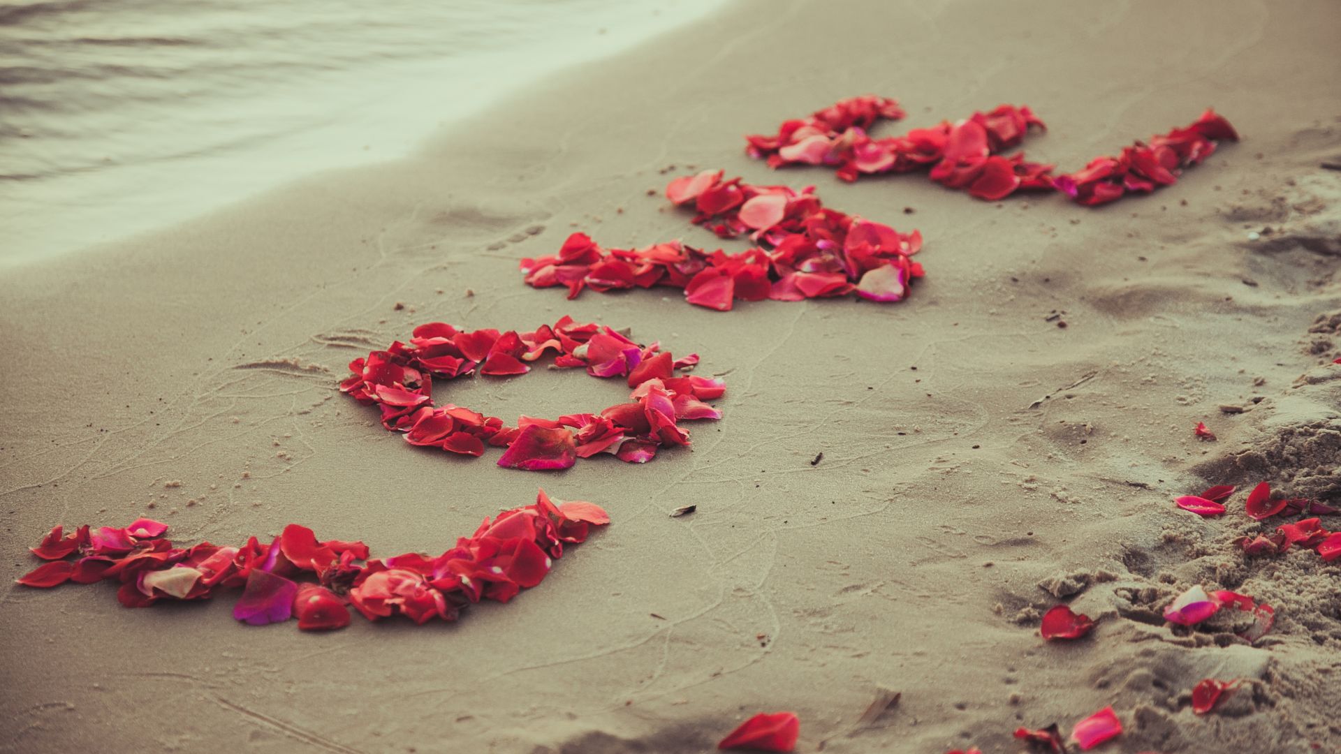фото любовь, цветы, love image, heart, 5k, beach, sea, flowers (horizontal)