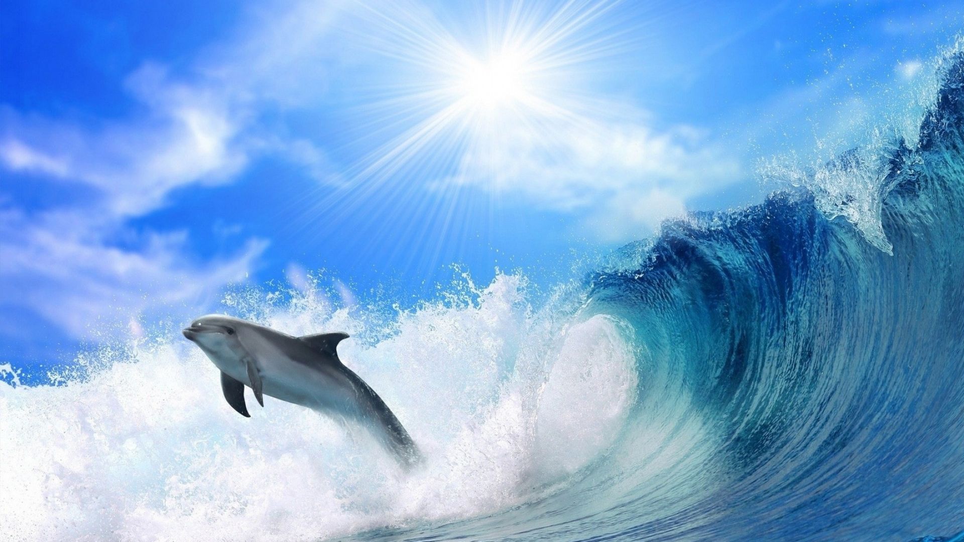 дельфин, океан, dolphin, ocean, 4k (horizontal)