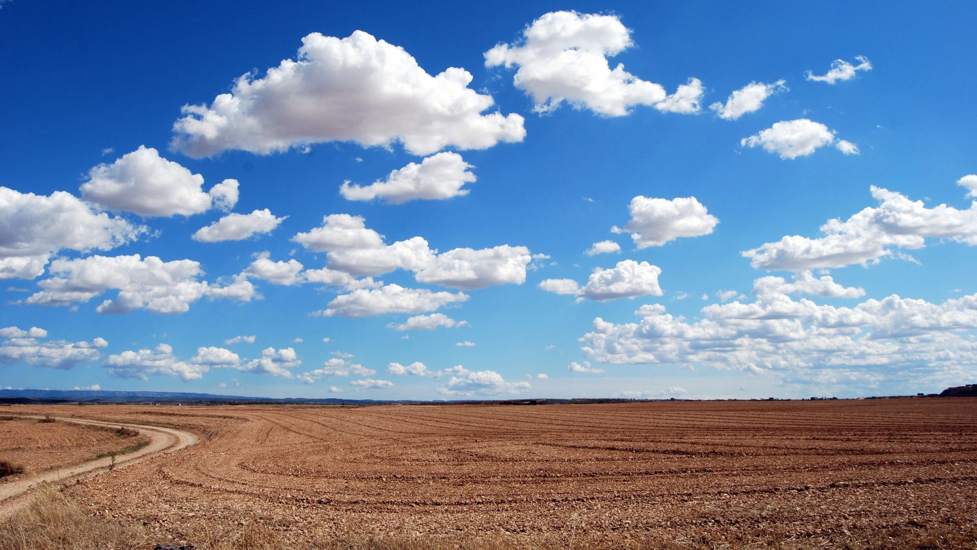 облака, небо, поле, clouds, sky, field, 4k (horizontal)