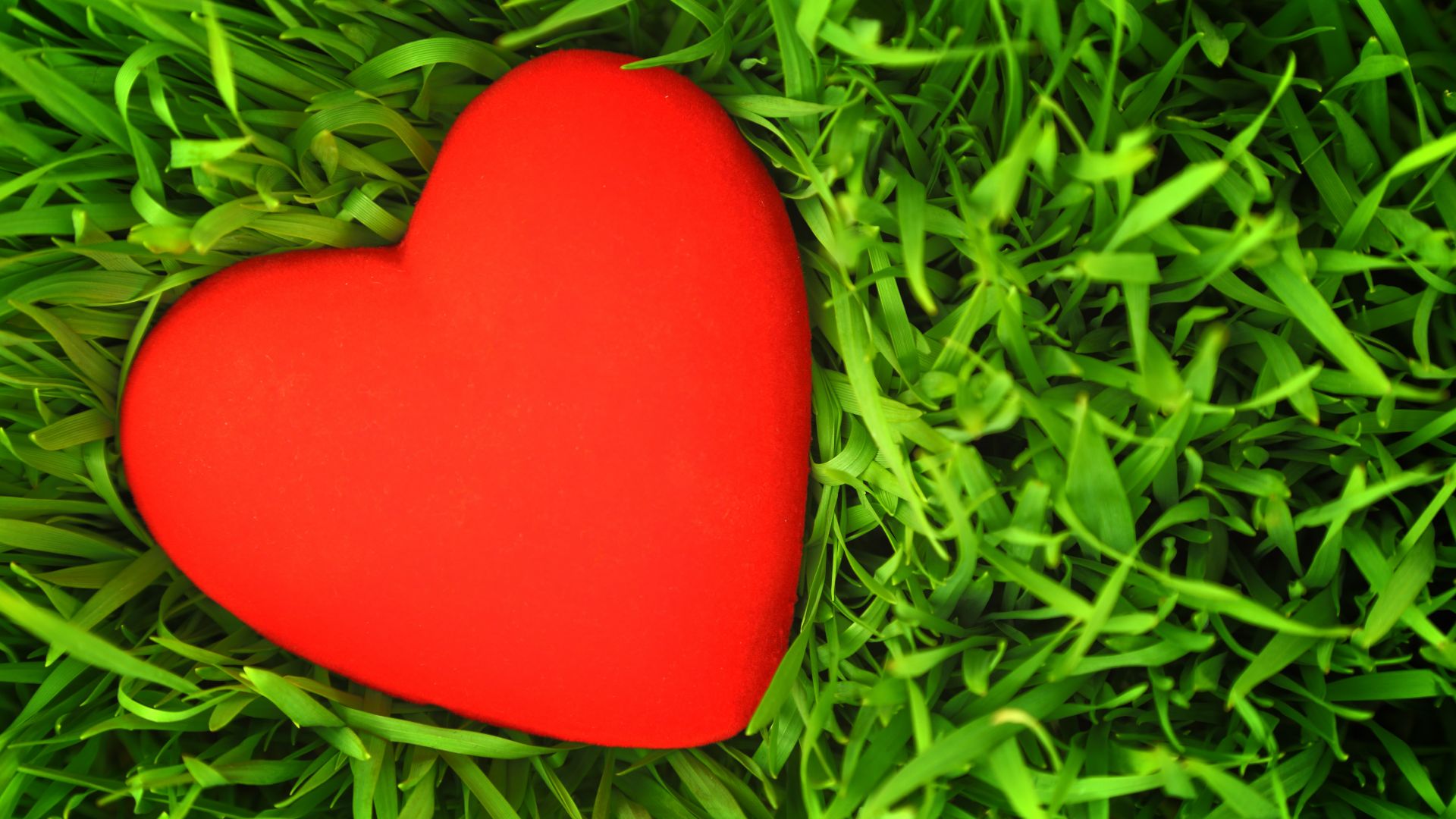 фото любовь, сердце, love image, heart, grass, 5k (horizontal)