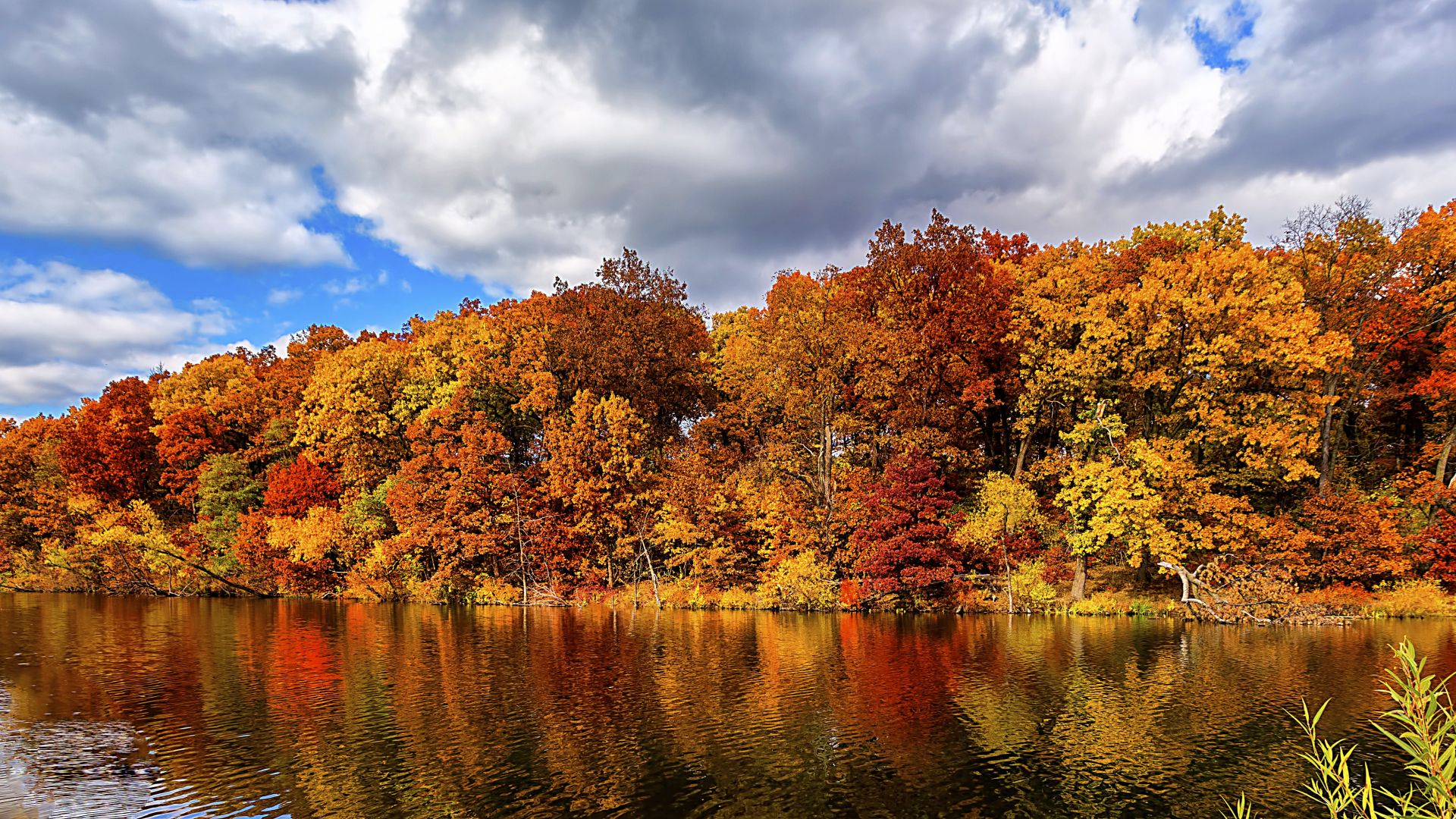 осень, лес, озеро, autumn, forest, lake, 5k (horizontal)