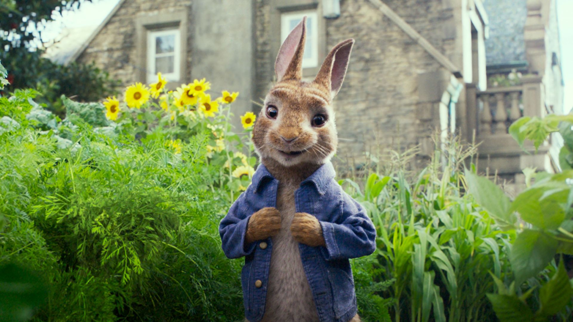 Кролик Питер, Peter Rabbit, 4k (horizontal)