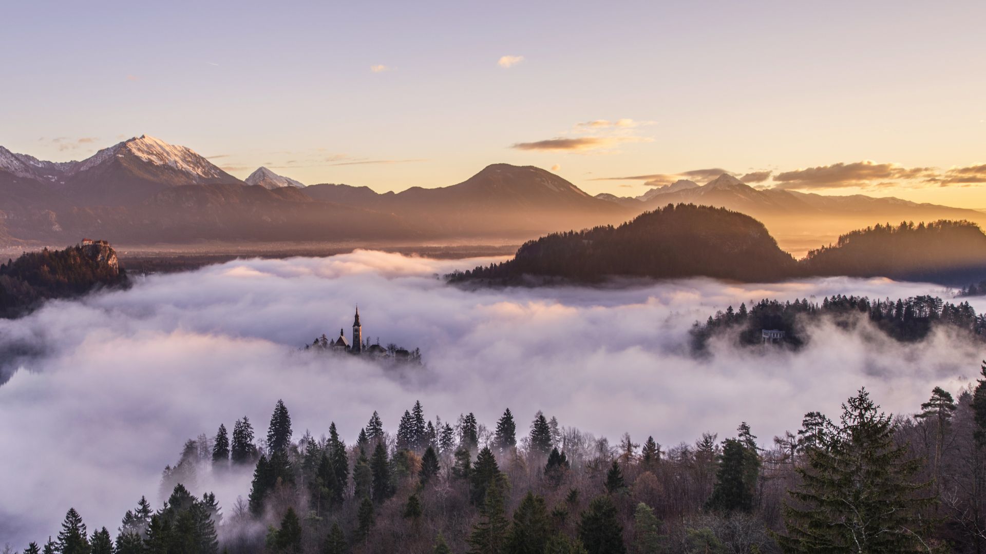туман, горы, лес, fog, mountains, forest, 5k (horizontal)