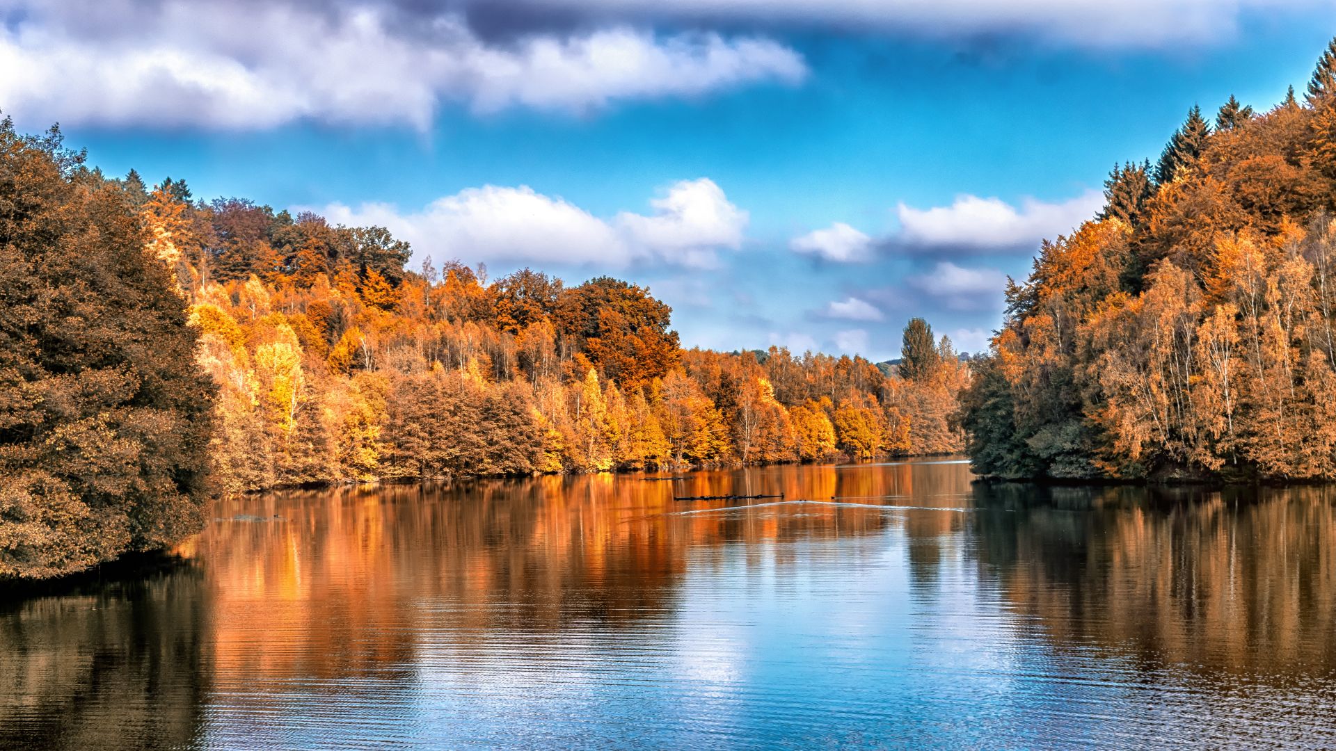 осень, озеро, лес, Autumn, lake, forest, 5k (horizontal)