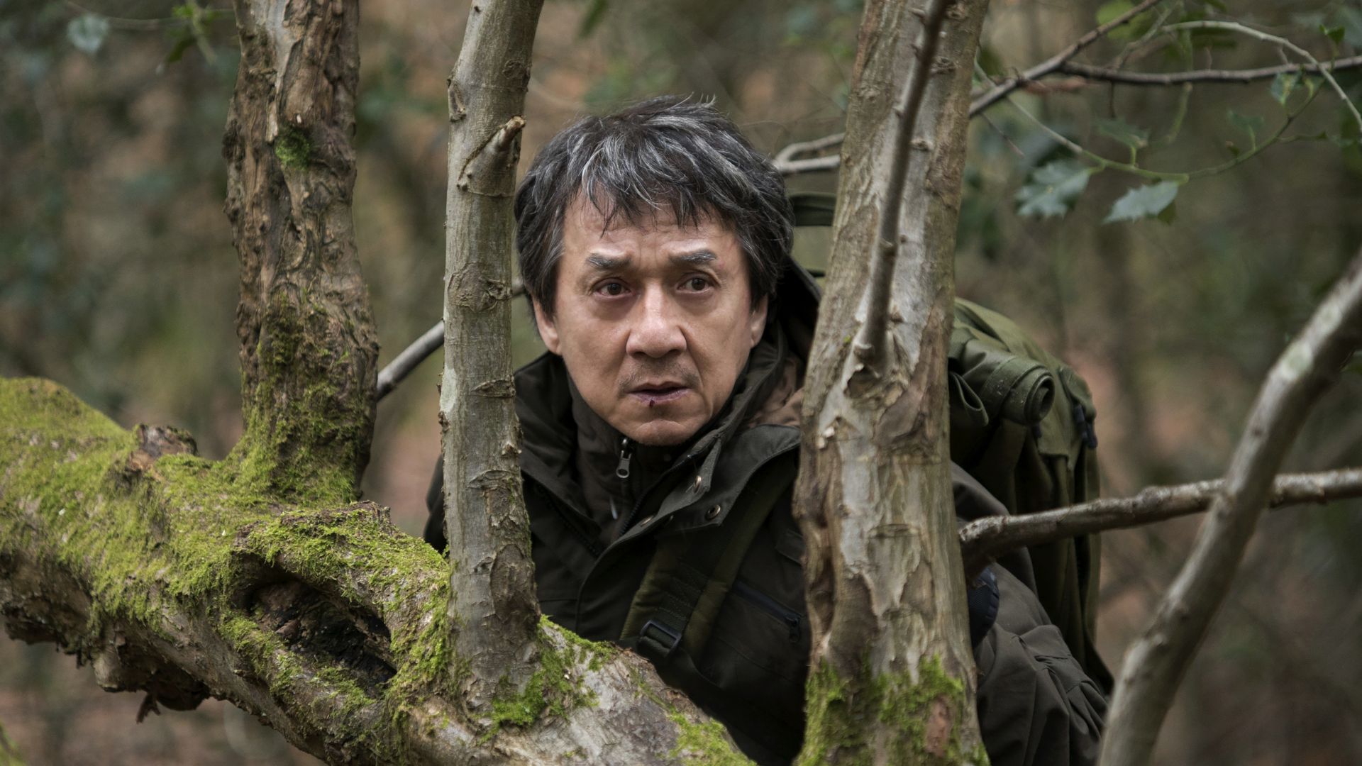 Иностранец, The Foreigner, Jackie Chan, 4k (horizontal)