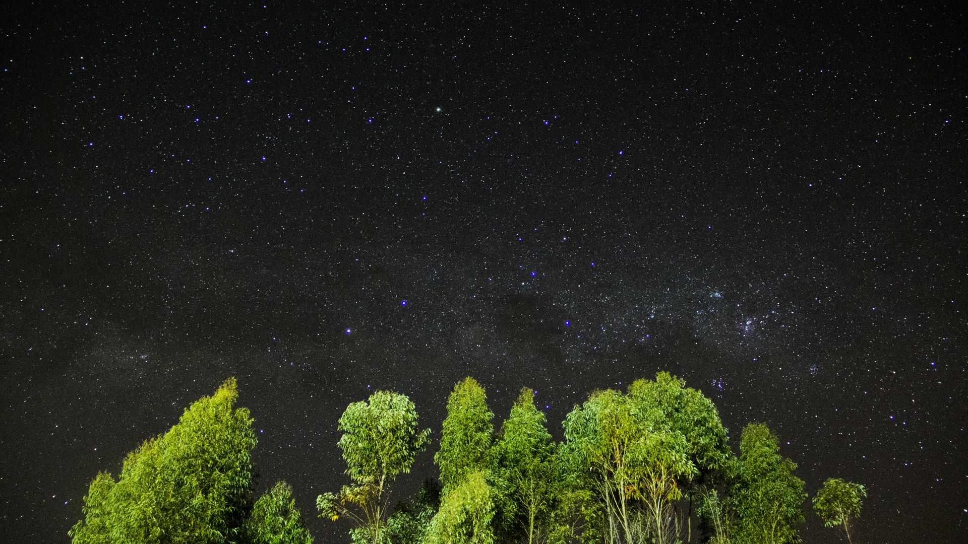 ночь, звезы, небо, деревья, night, stars, sky, trees, 4k (horizontal)