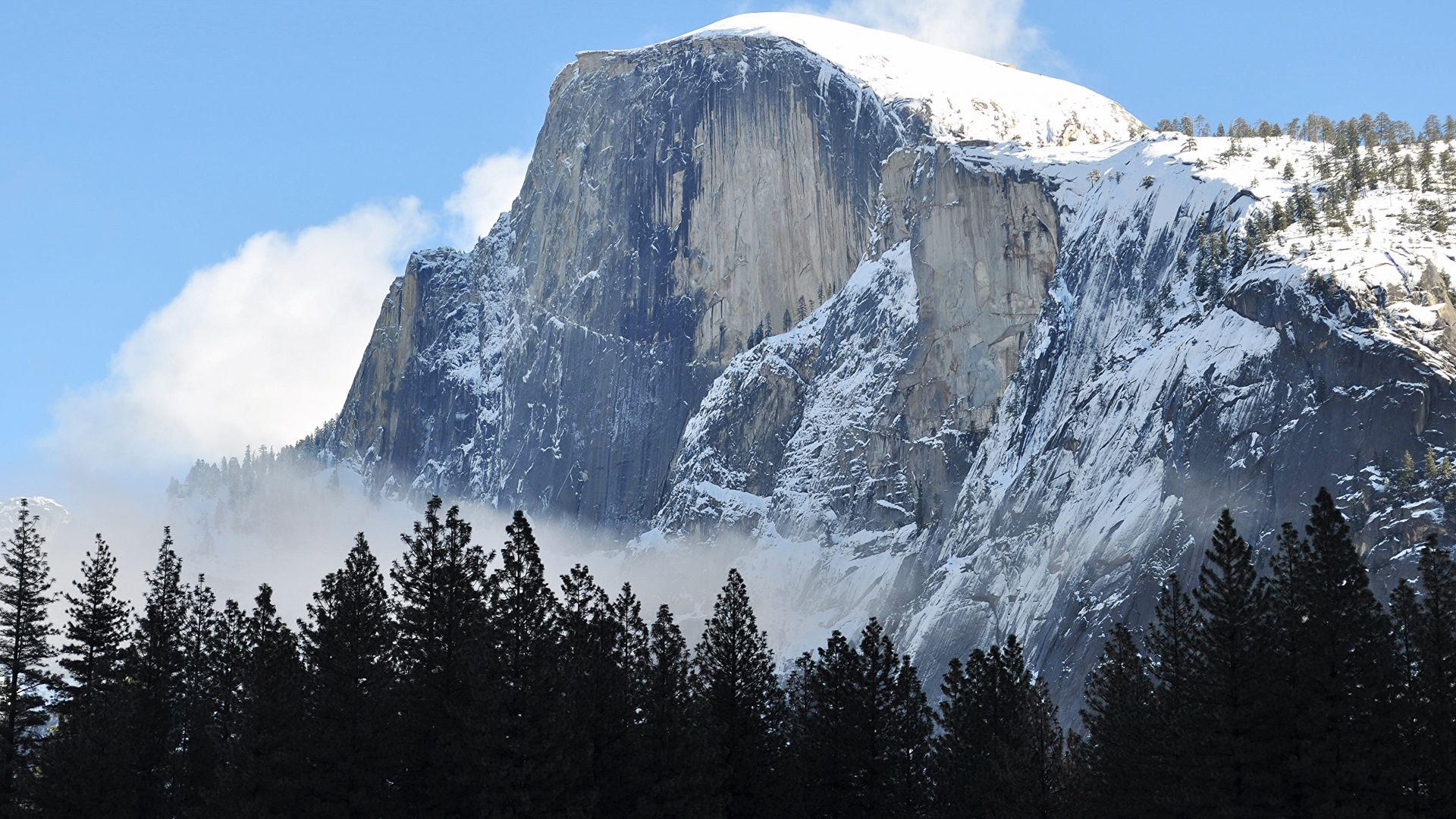 Хаф-Доум, гора, лес, Half Dome, mountain, Yosemite, National Park, California, forest, 4k (horizontal)