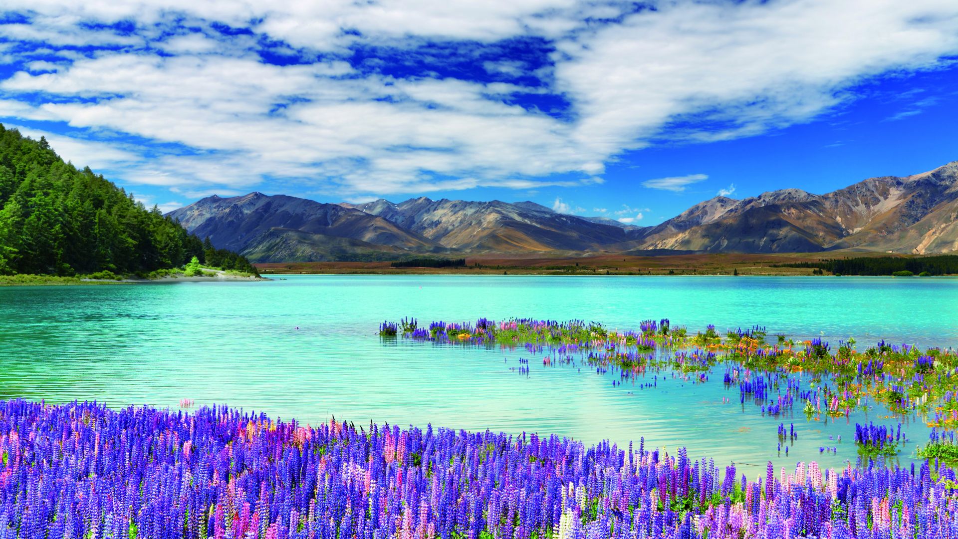 Новая Зеландия, река, горы, New Zealand, river, mountains, flowers, clouds, 4k (horizontal)