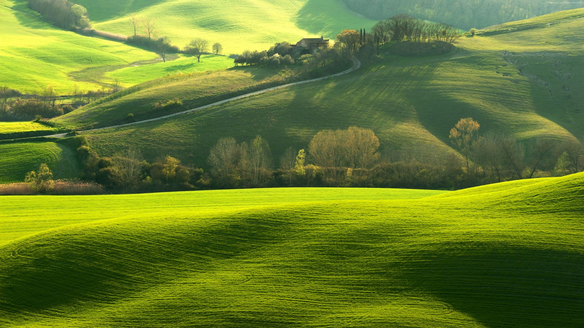 Тоскана, Италия, поле, Tuscany, Italy, Europe, hills, green, field, 4K (horizontal)