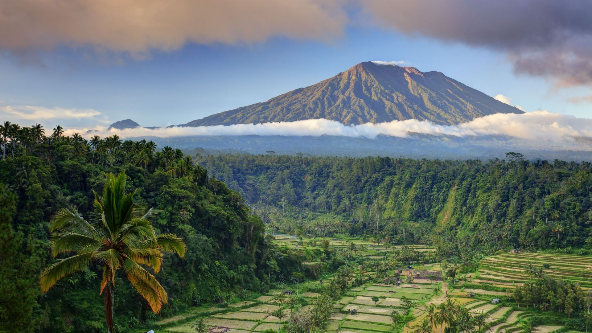 Бали, пальмы, деревья, поле, гора, облака, Bali, palms, trees, field, mountain, clouds, 5k (horizontal)