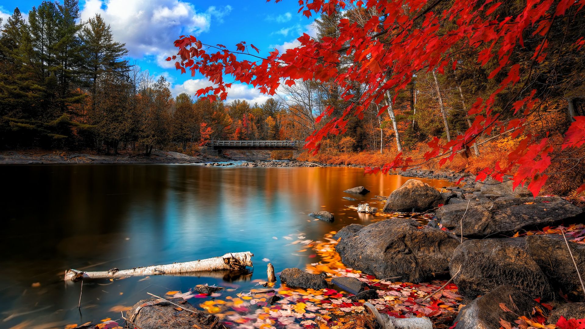 осень, озеро, лес, Autumn, lake, forest, 4k (horizontal)