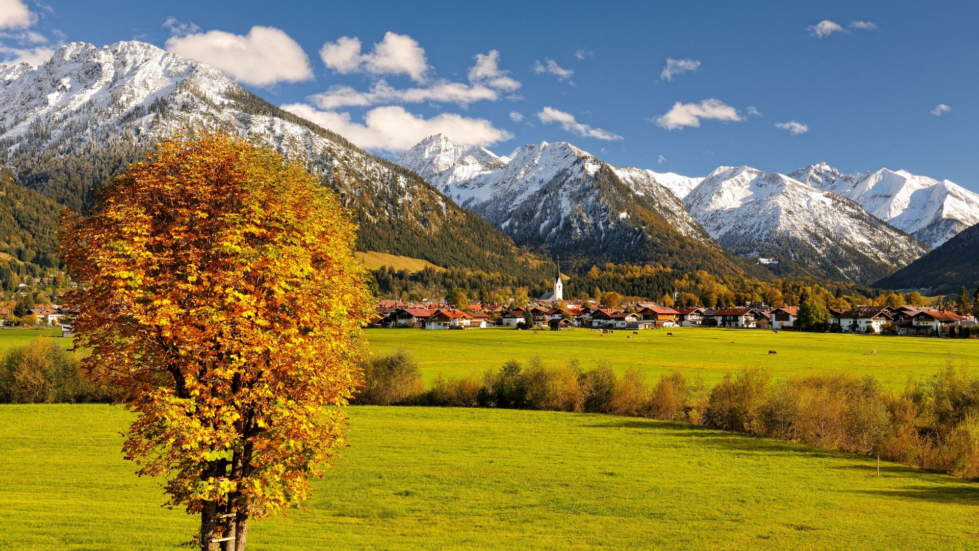 Альгой, Германия, горы, осень, Allgaeu, Germany, Europe, mountains, autumn, tree, 5k (horizontal)