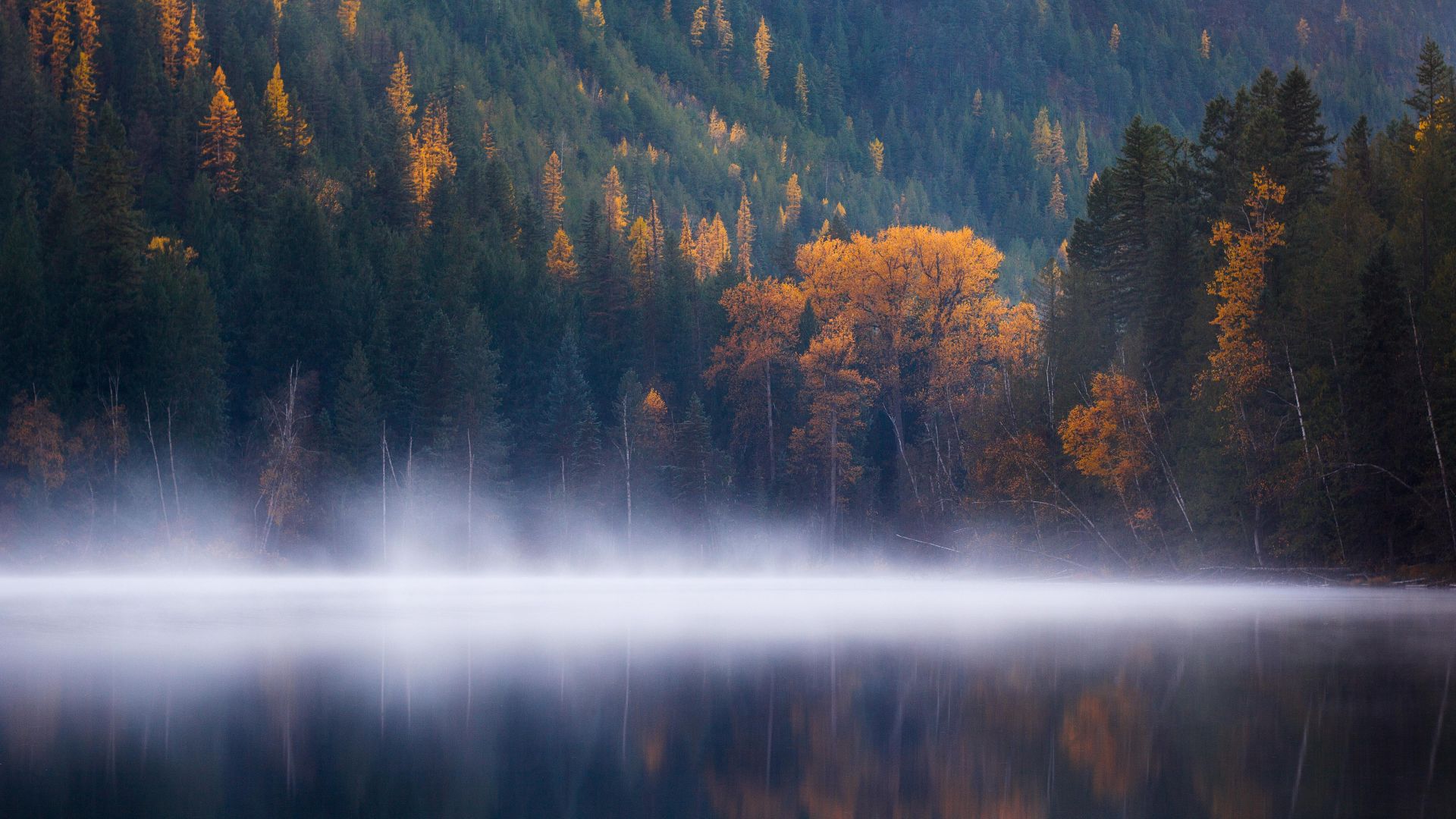 Эхо-озеро, лес, Колумбия, осень, Echo Lake, forest, trees, fog, Columbia, autumn, 5k (horizontal)