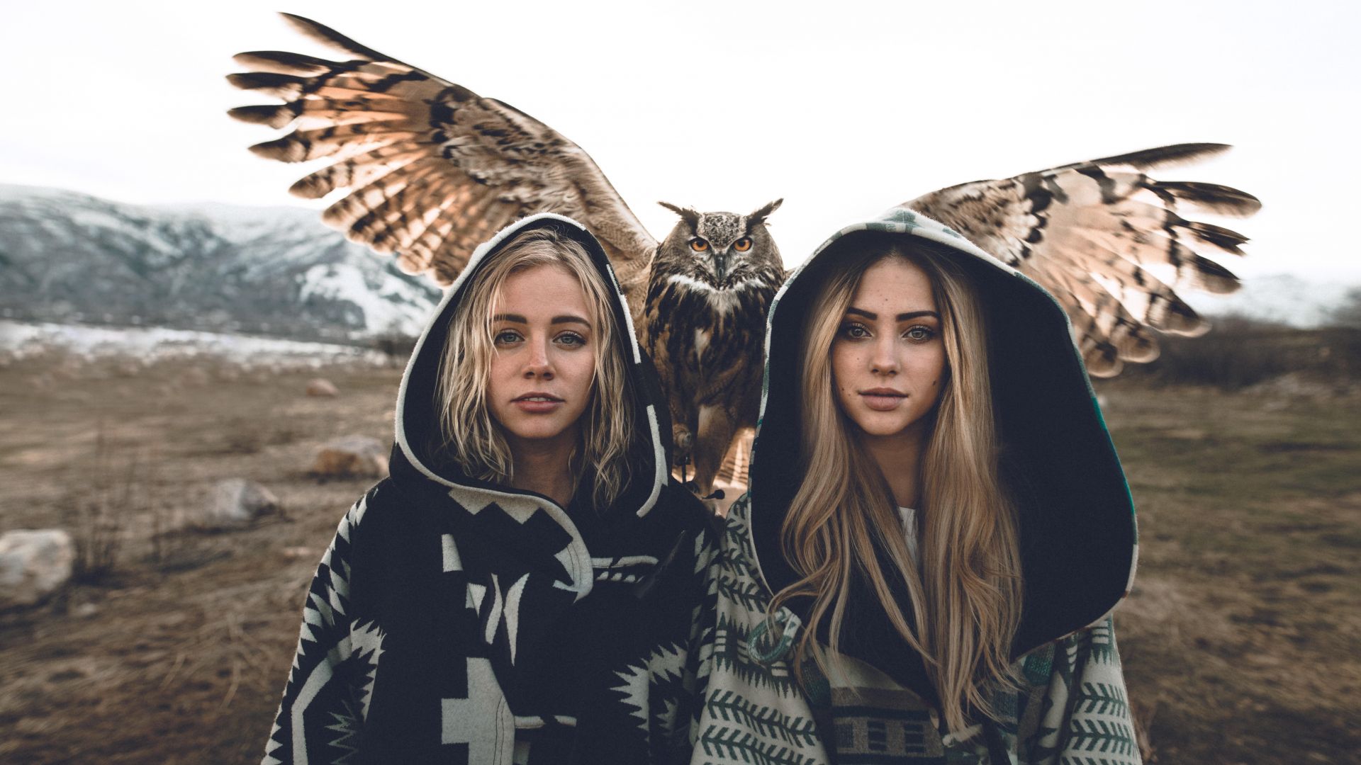 девушки, сова, girls, owl, 8k (horizontal)