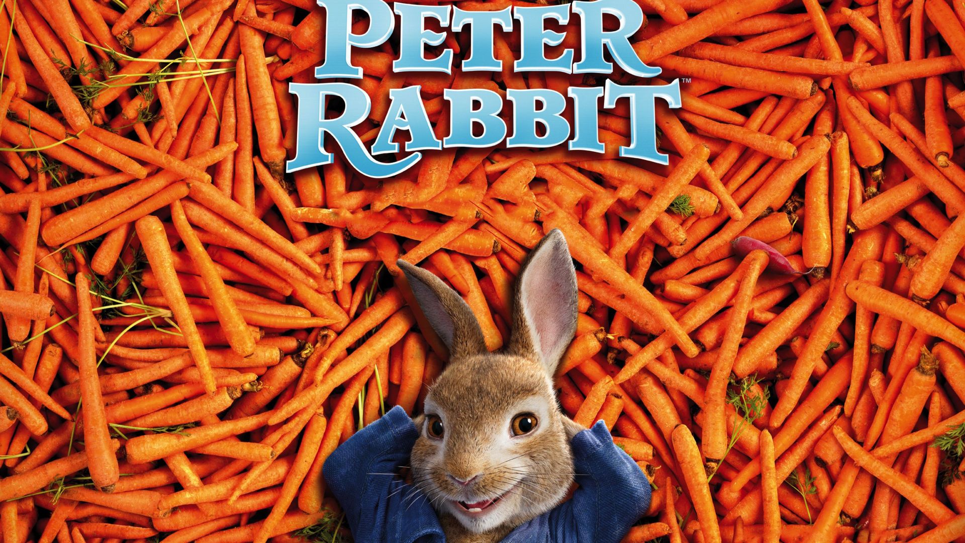 Кролик Питер, Peter Rabbit, carrot, 4k (horizontal)