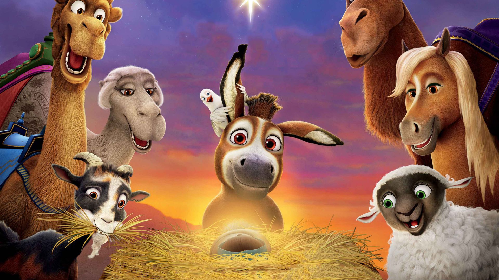 Путеводная звезда, The Star, sheep, donkey, camel, 4k (horizontal)
