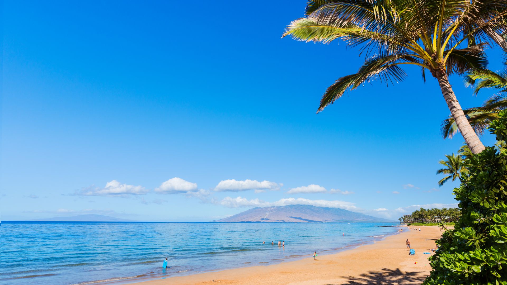 Мауи, пляж, Maui, Hawaii, beach, ocean, coast, palm, sky, 5k (horizontal)